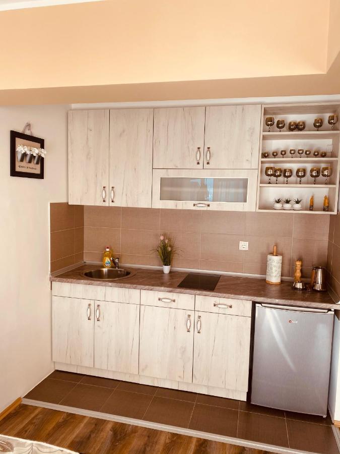 Ana Luxury Apartment **** Nova Varoš Eksteriør billede